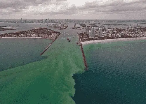 Miami Entrance (Government Cut)